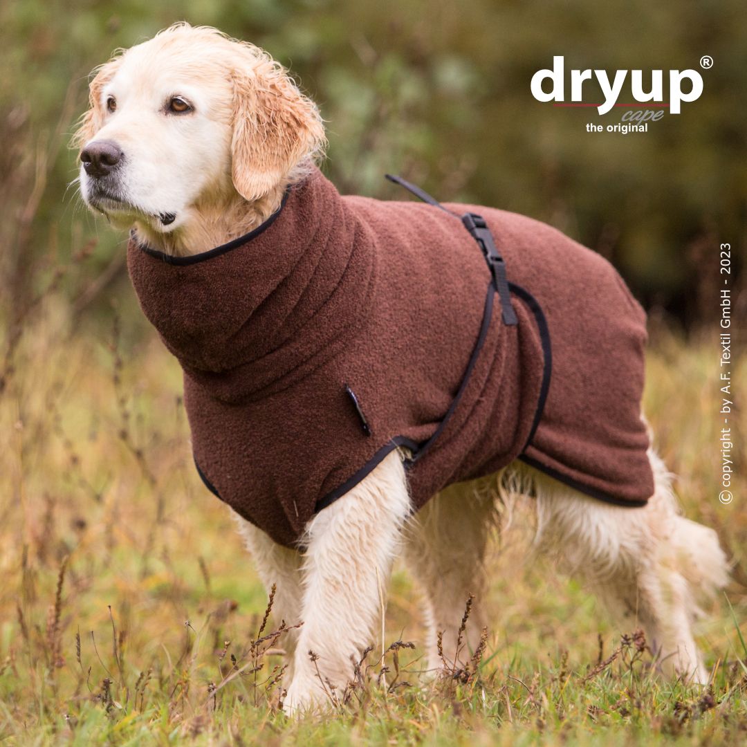 Dryup cape - Bruin